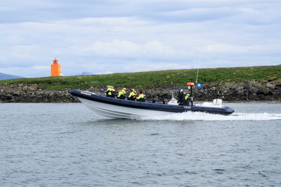 Reykjavik: Puffin Watching Tour by RIB Speedboat - Key Things You Will Notice On This Puffin Express