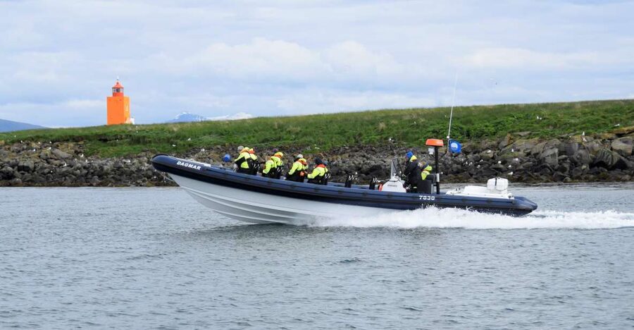 Reykjavik: Puffin Watching Tour by RIB Speedboat - The One-Hour Timeline: From Old Harbour to Engine-Off Bird Time