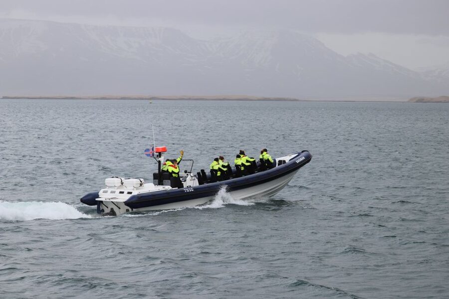 Reykjavik: Puffin Watching Tour by RIB Speedboat - Special Tours Iceland App: A Little Audio Help Between Birds