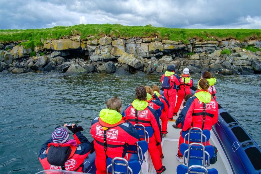 Reykjavik: Puffin Watching Tour - Boat Size, Seating, and Why 38 Passengers Matters