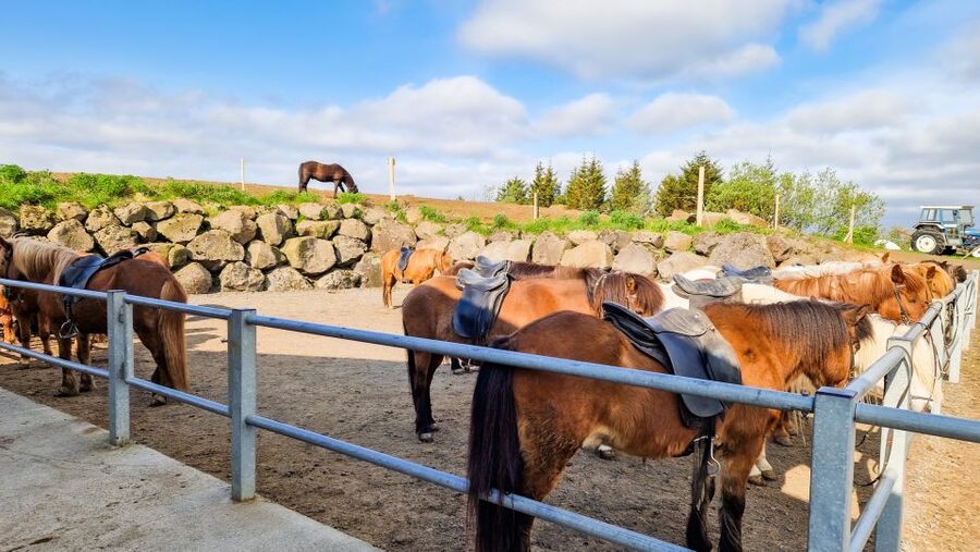 Reykjavik: Red Lava Horse Riding Tour - Photo Stops and the Small Iceland Moments