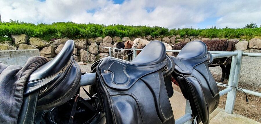 Reykjavik: Red Lava Horse Riding Tour - Should You Book the Sólhestar Red Lava Horse Riding Tour?