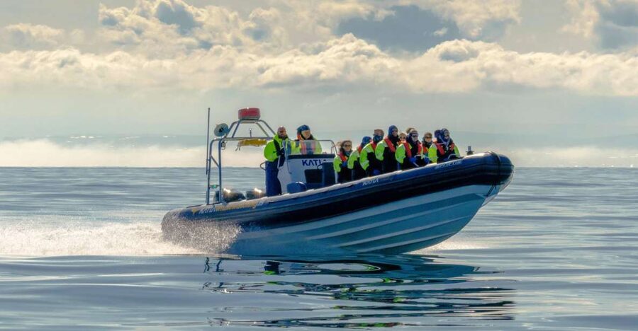 Reykjavík: RIB Speed-Boat Puffin Watching Tour - How to get better puffin sightings in a single hour