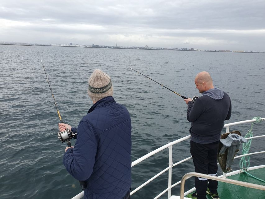 Reykjavik's Finest Catch: Guided Sea Angling Tour - The 25-minute sightseeing cruise that acts like a warm-up