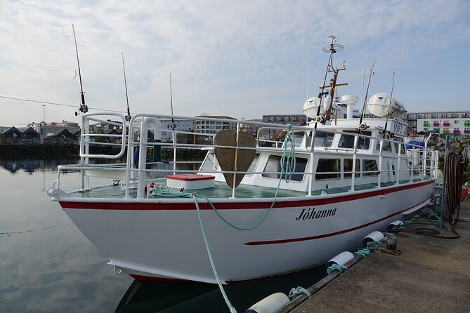 Reykjavik's Finest Catch: Guided Sea Angling Tour for All Levels - Weather, Boat Comfort, and Staying in the Game