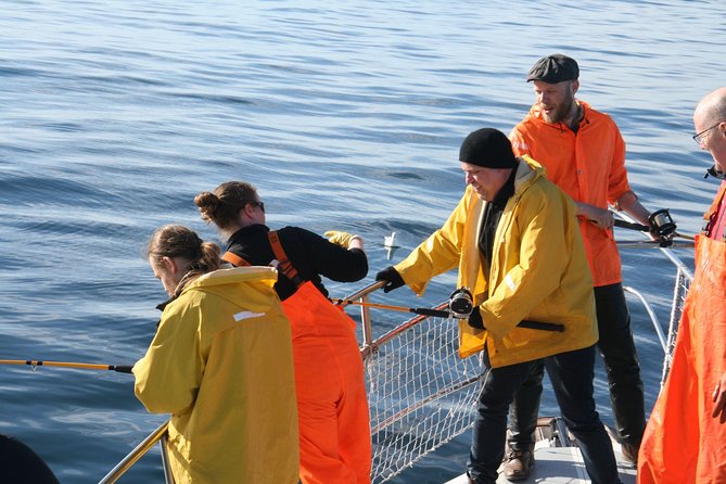 Reykjavik Sea Angling Gourmet - The Fishing Lesson: No License, Real Technique, Quick Confidence