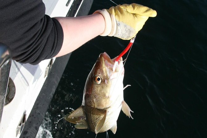 Reykjavik Sea Angling Gourmet - Getting to the Boat: Hlésgata 1 and a Simple Start