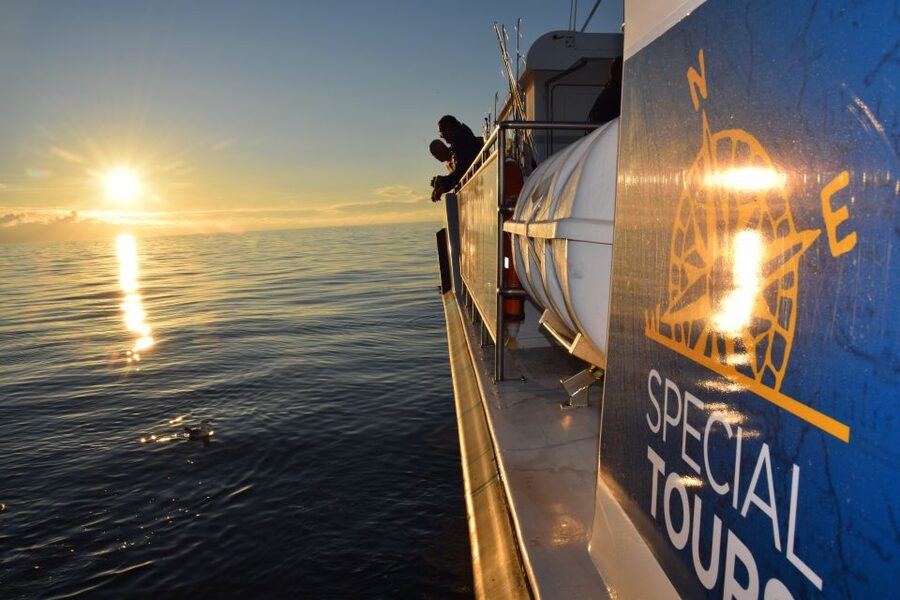 Reykjavik: Sea Fishing Boat Tour & BBQ with the Day's Catch - Key highlights that make this tour worth your time