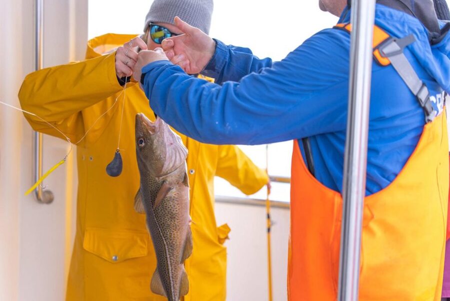 Reykjavik: Sea Fishing Boat Tour & BBQ with the Day's Catch - The on-board BBQ: turning your catch into a hot meal