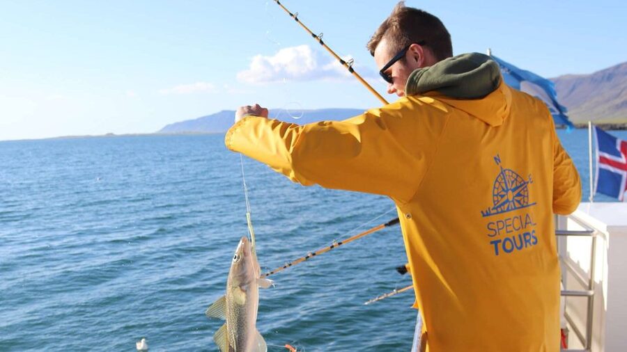 Reykjavik: Sea Fishing Boat Tour & BBQ with the Day's Catch - Gear, protective clothing, and how to dress for cold water action