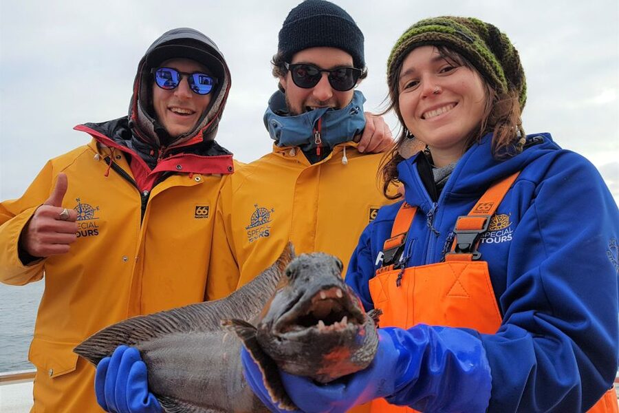 Reykjavik: Sea Fishing Boat Tour & BBQ with the Day's Catch - FAQ