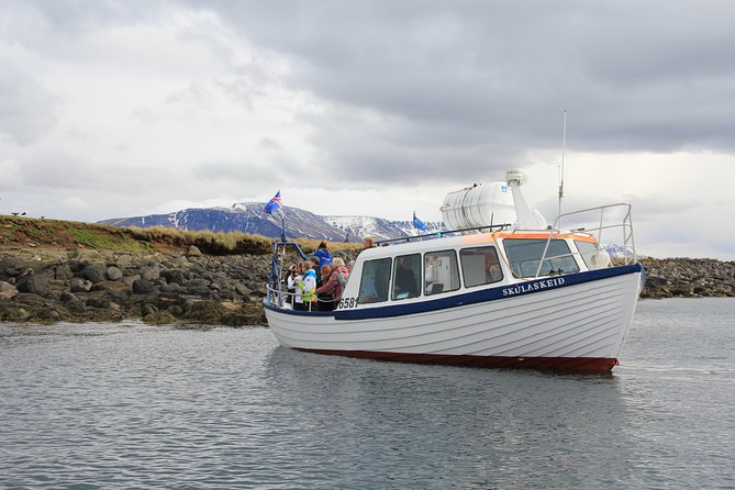 Reykjavik Shore Excursion: Puffin Sightseeing Cruise - Key Highlights You Should Care About