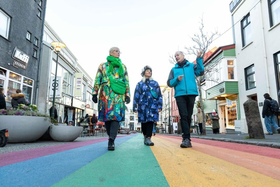 Reykjavik: Sightseeing Walking Tour with a Viking - A Viking walk that actually helps you enjoy Reykjavík