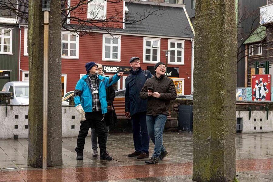 Reykjavik: Sightseeing Walking Tour with a Viking - Harpa Concert Hall: architecture you can feel in your photos