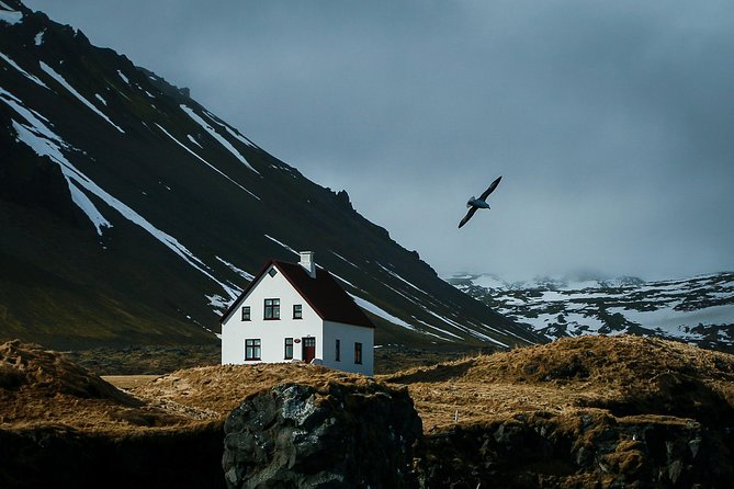 Reykjavik: Snaefellsnes National Park Small Group Trip - Price and Logistics: how the timing actually feels