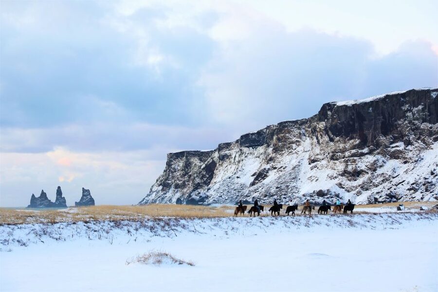 Reykjavik: South Coast Waterfalls & Glacier Small-Group Tour - Reynisfjara black sand: basalt columns and wild surf