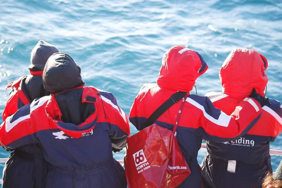 Reykjavik: the Original 3-Hour Whale Watching Tour - Itinerary rhythm: what each phase gives you
