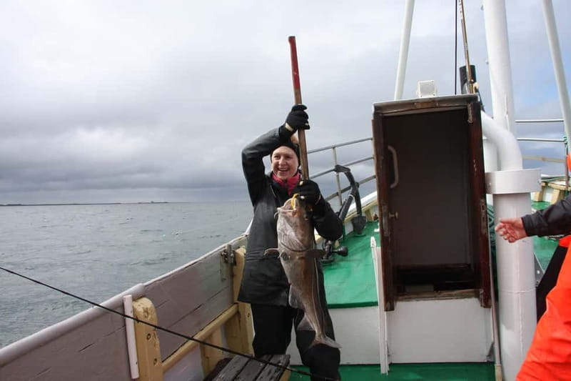 Reykjavik: Traditional Sea Fishing with BBQ Feast - Price and Value: What $170 Includes (and Why It’s Not Just a Boat Ride)