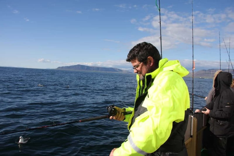 Reykjavik: Traditional Sea Fishing with BBQ Feast - The Main Practical Tips Before You Book
