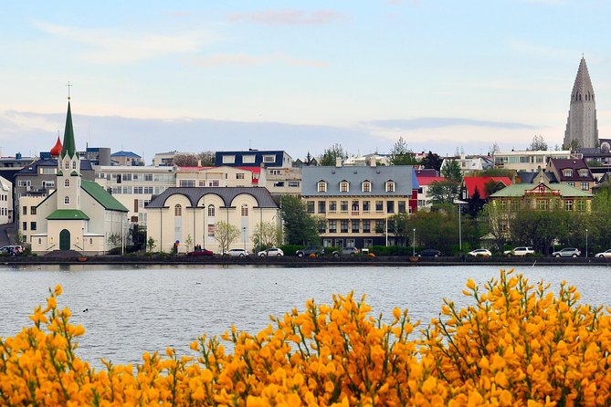 Reykjavik Walking Tour - Walk with a Viking - Austurvöllur Square and Lake Tjörnin: where the city breathes