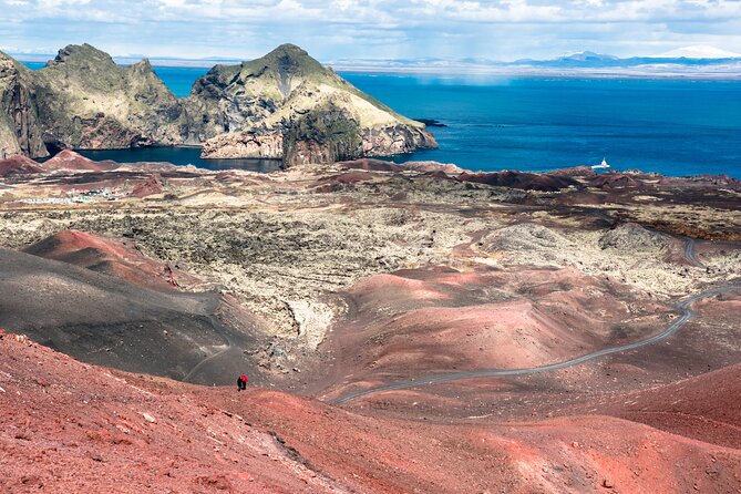 Reykjavik - Westman Islands (Bus transfer to Landeyjahöfn) - Price and Value: What $60 Buys You (and What It Does Not)