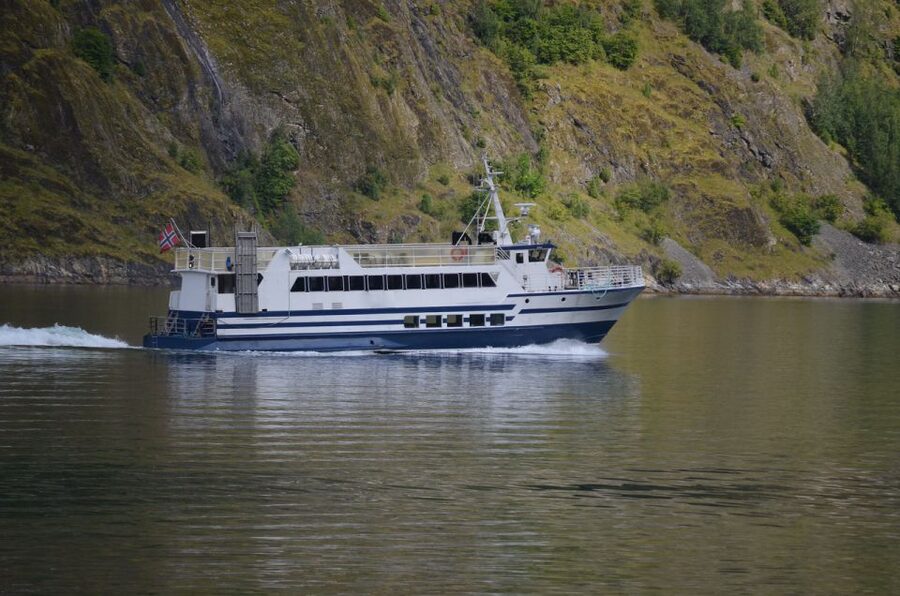 Reykjavik: Whale & Marine Adventure Tour - Who This Tour Suits Best