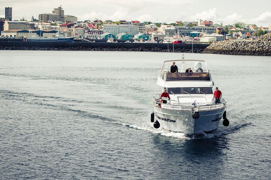 Reykjavik: Whale Watching and Dolphin Watching Yacht Cruise - What 3 hours on a yacht really gives you
