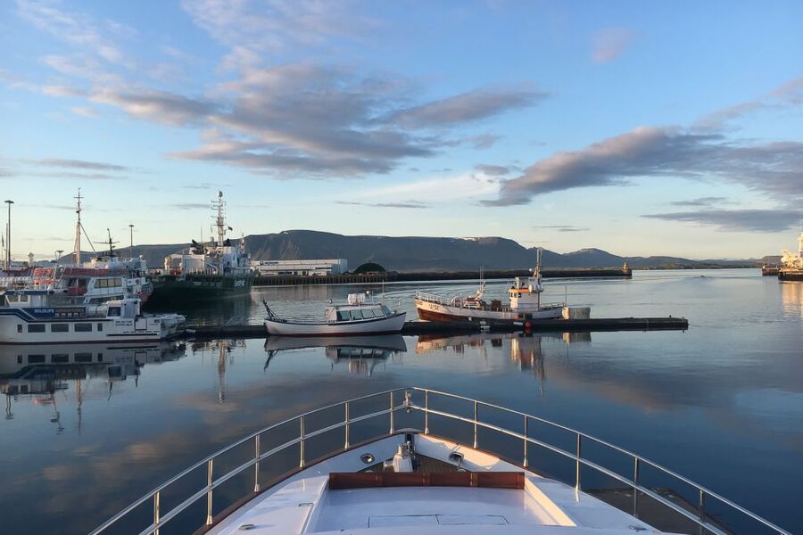Reykjavik: Whale Watching and Dolphin Watching Yacht Cruise - MY Harpa vs MY Amelia Rose: which boat helps your odds?