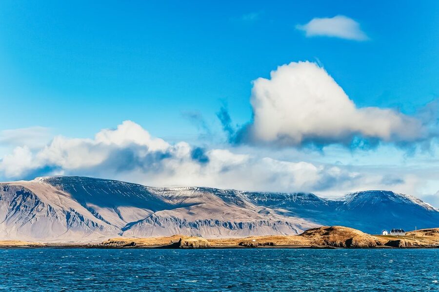 Reykjavík: Whale Watching and Marine Life Cruise - Faxaflói Bay, a short ride with big wildlife odds