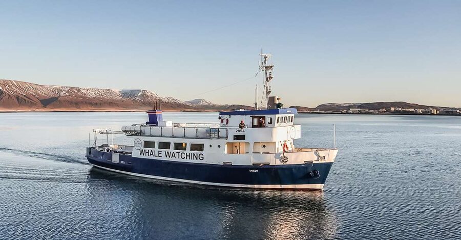 Reykjavík: Whale Watching and Marine Life Cruise - Check-in at Old Harbour House and what the 3 hours really means