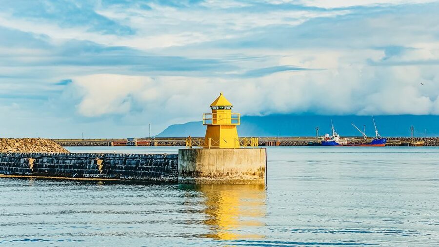 Reykjavík: Whale Watching and Marine Life Cruise - Price and value at about $87 per person
