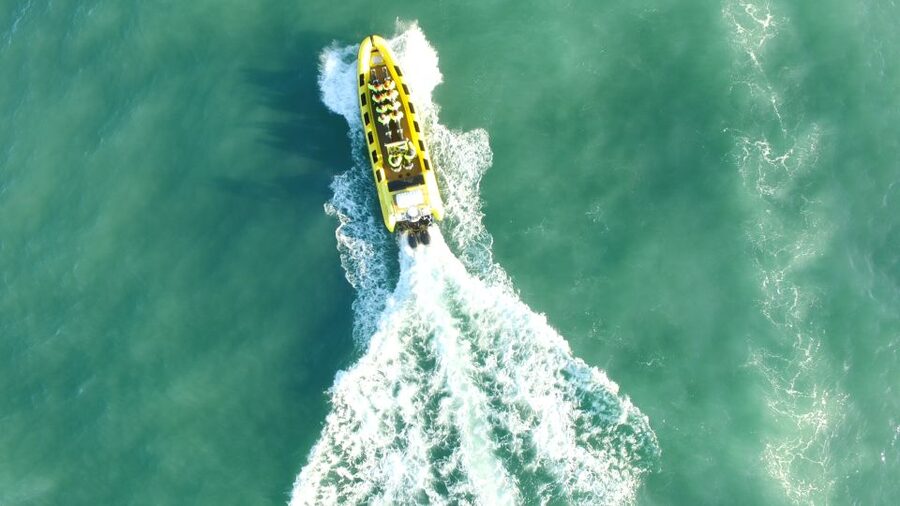 Reykjavik: Whale Watching by RIB Speedboat - Planning tips for a smooth departure