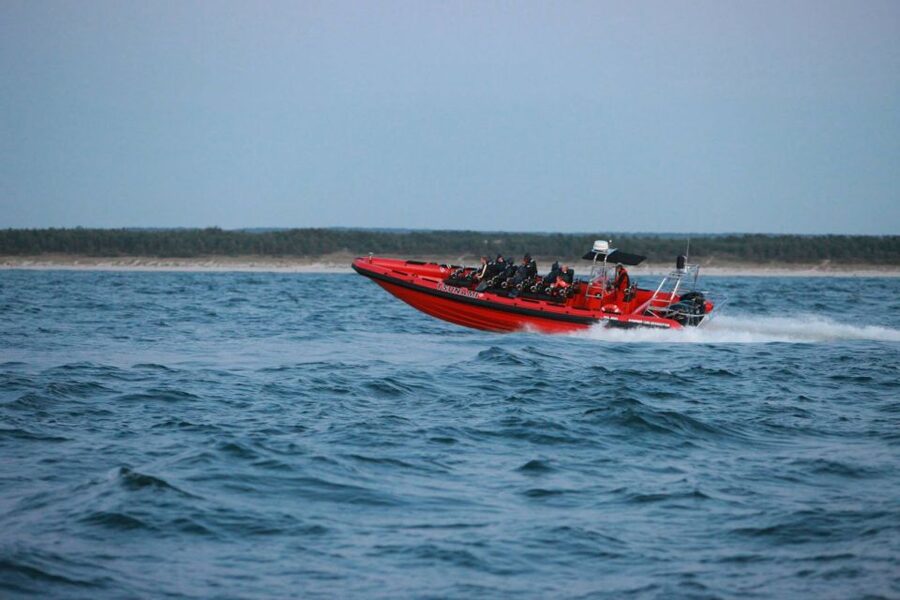 Reykjavik: Whale Watching by RIB Speedboat - Gear and comfort: what’s included and what you should bring