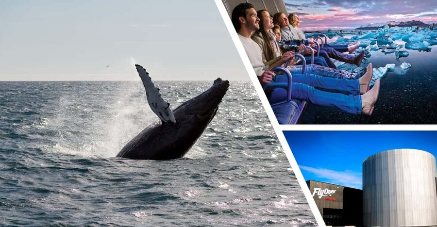 Reykjavík: Whale Watching Cruise and FlyOver Combo Ticket - Price Value for $153: When the Combo Feels Like a Deal