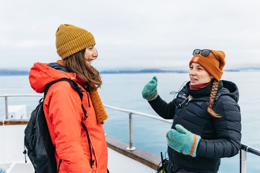 Reykjavík: Whale Watching Cruise on the Amelia Rose Yacht - From Old Harbor to Faxaflói Bay: how the Amelia Rose actually works