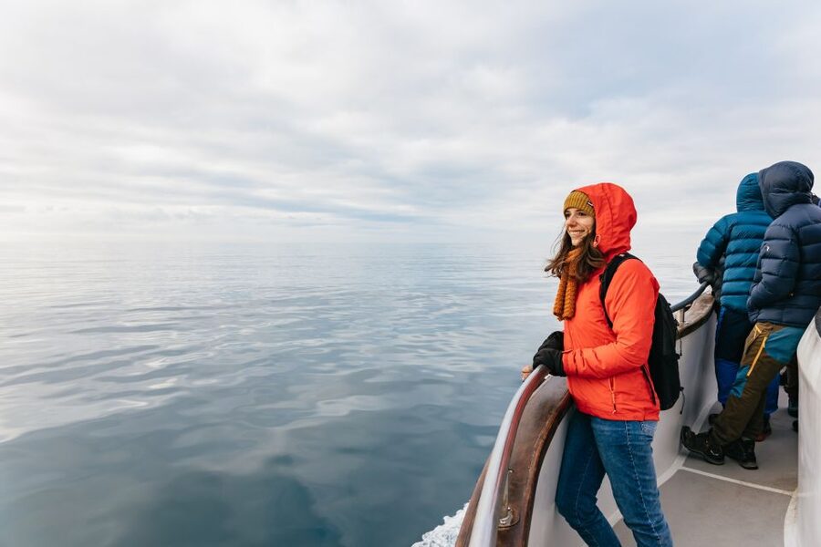 Reykjavík: Whale Watching Cruise on the Amelia Rose Yacht - Where to start your hunt: check-in, boarding, and what to bring