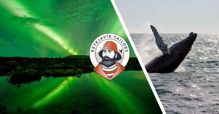Reykjavik: Whale Watching & Northern Lights Combo Cruise - Why this Reykjavik combo makes sense (and who it fits)