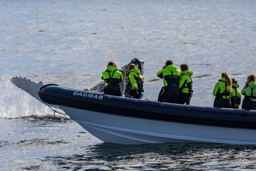 Reykjavik: Whale Watching Tour by RIB Boat - Gear up in Reykjavik: warm overalls, goggles, and a smoother ride than it sounds
