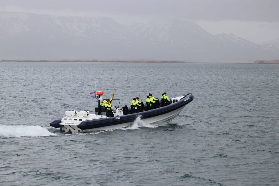 Reykjavik: Whale Watching Tour by RIB Boat - Whales of Iceland Museum after your tour: turn sightings into real context