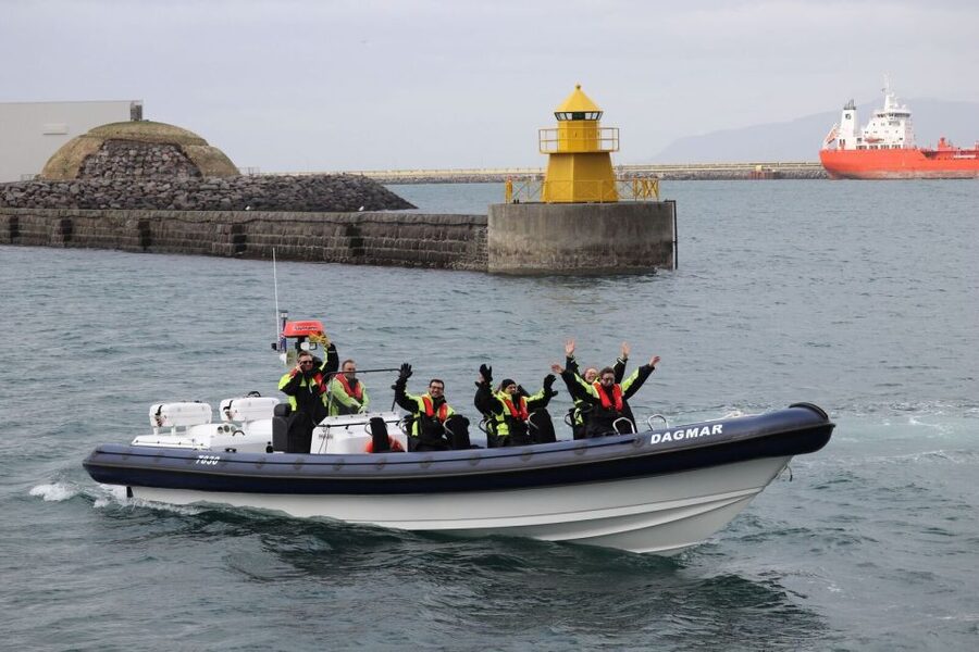 Reykjavik: Whale Watching Tour by RIB Boat - Should you book this Reykjavik RIB whale watching tour?