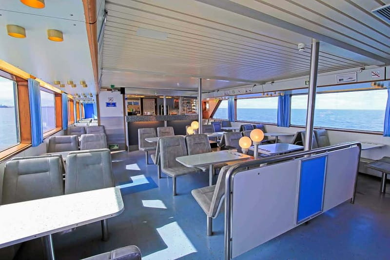 Reykjavik: Whale Watching Tour with Expert Guide - Classic vs Express: choosing the right departure for the season