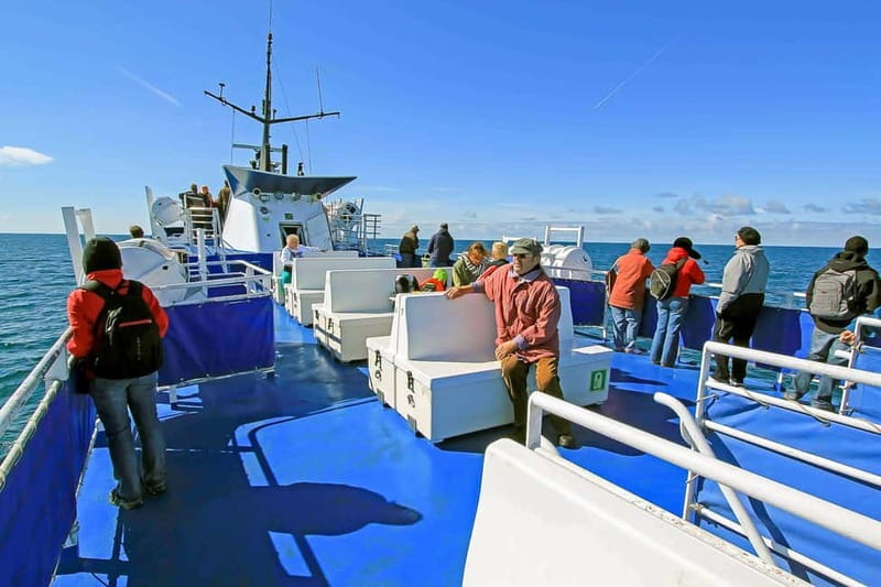 Reykjavik: Whale Watching Tour with Expert Guide - Onboard cafe, souvenirs, and small comforts that reduce stress