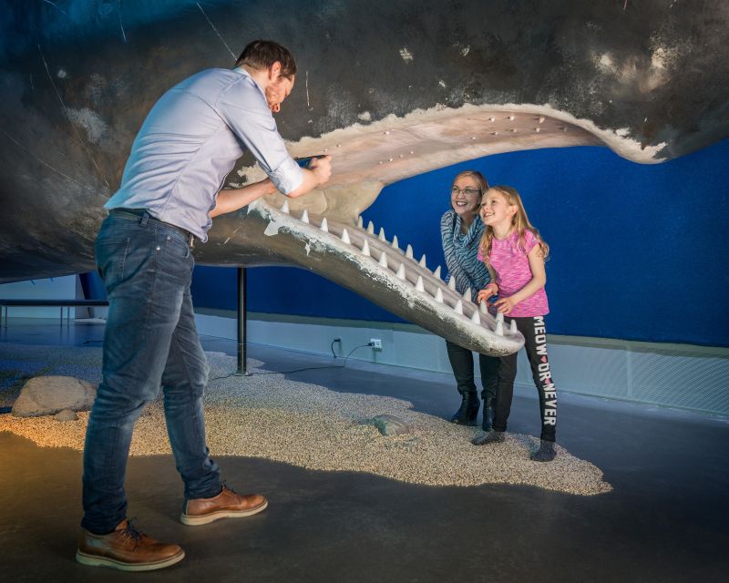 Reykjavik: Whales of Iceland Museum Entrance Ticket - Audio guide with 17 languages, and why headphones matter