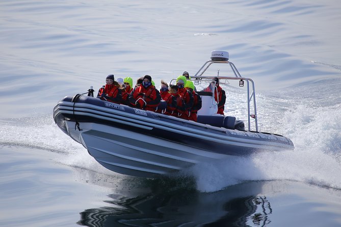 RIB boat express: Whales, Eyjafjord and Akureyri - The 2-Hour Cruise Plan, Out From Akureyri