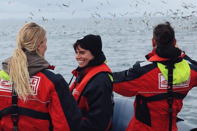 RIB Whale Watching Small-Group Boat Tour from Reykjavik - Where you start and how the day flows on the water