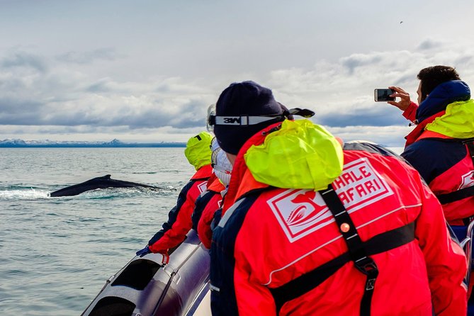 RIB Whale Watching Small-Group Boat Tour from Reykjavik - Stop 1 at Ægisgarður 5d, the harbor-to-open-water switch