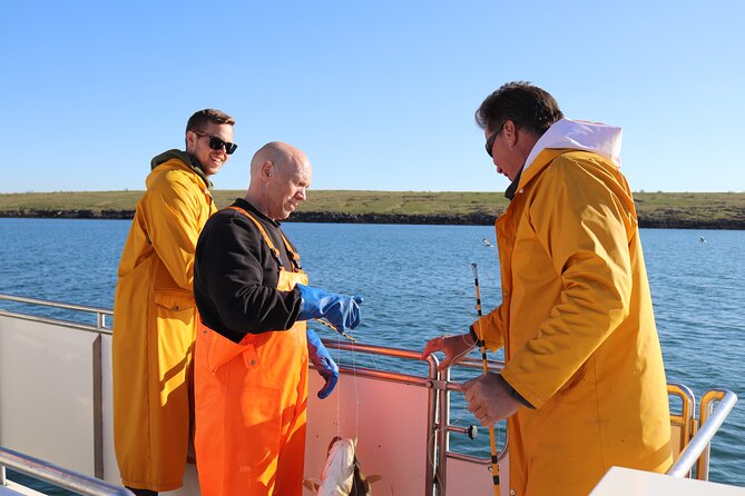 Sea Fishing Experience from Reykjavik - Key things that make this Reykjavik fishing trip work