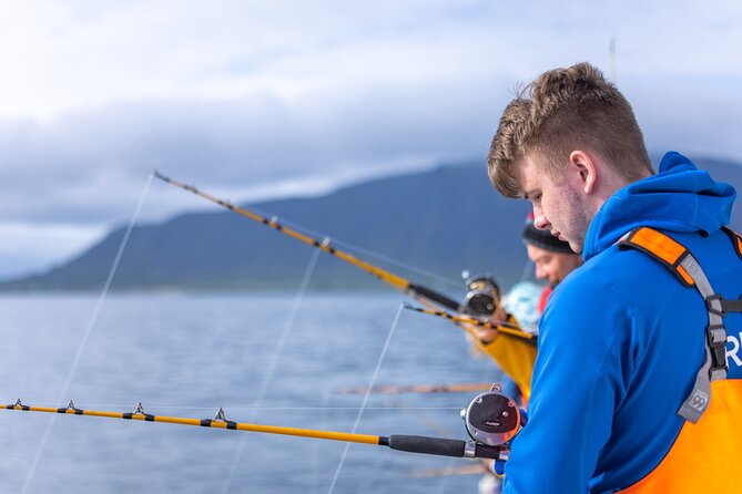 Sea Fishing Experience from Reykjavik - Casting lines with real instruction, even if you’ve never fished before