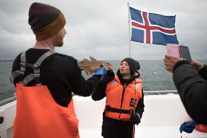 Sea Fishing Experience from Reykjavik - What you can catch around Reykjavik: cod focus plus variety