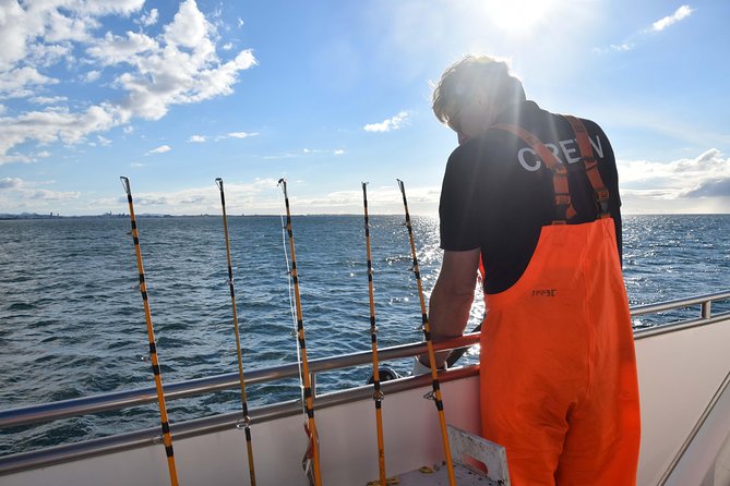 Sea Fishing Experience from Reykjavik - Who this fishing trip suits best (and who might not love it)